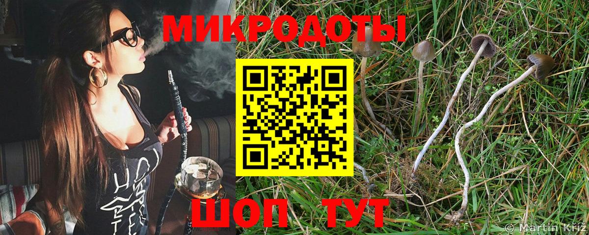 сколько стоит  Псилоцибиновые грибы Magic Shrooms  Вход с VPN  Новочеркасск 